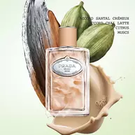 Les Infusions Unisex Collection | Prada Beauty Official Site